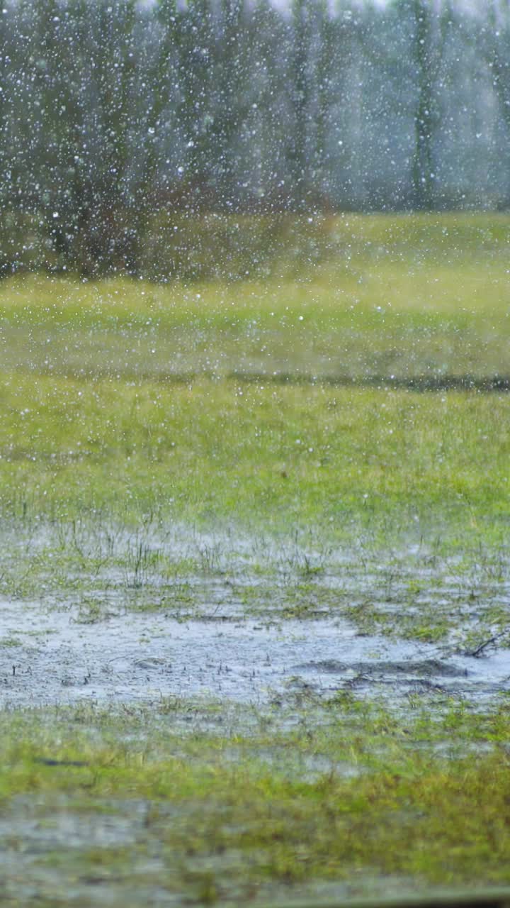 骑马的人摔了下来，在一个雨天在泥里。视频素材