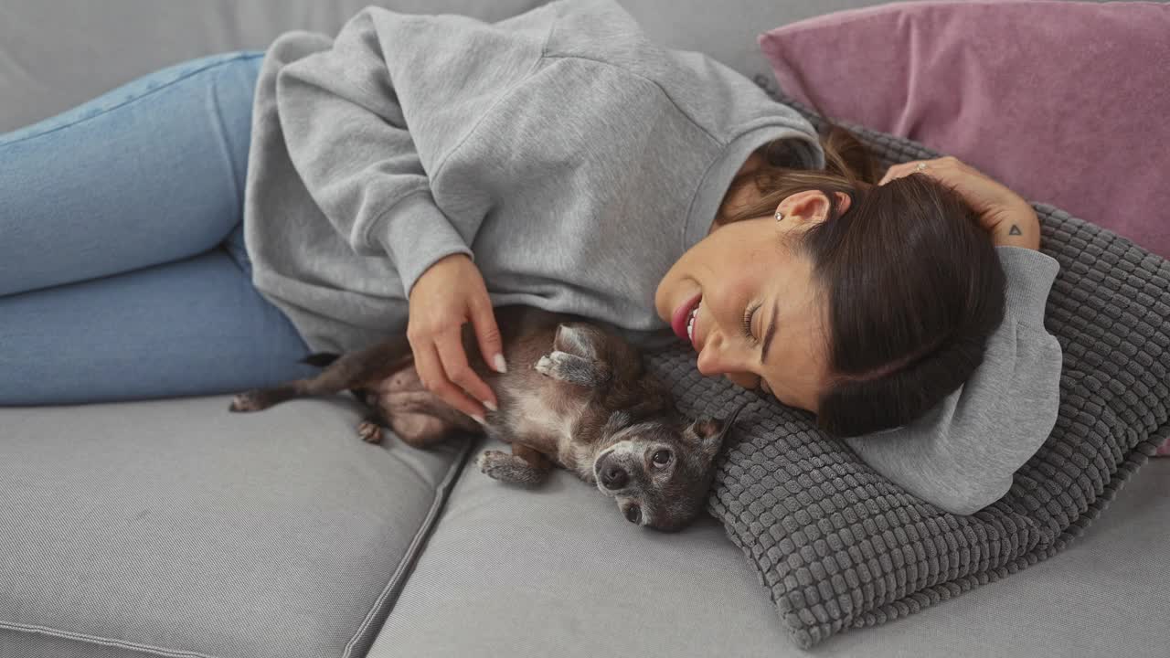 在舒适的家庭环境中，一位年轻女子抱着她的吉娃娃坐在沙发上，散发着放松和陪伴的气息。视频素材