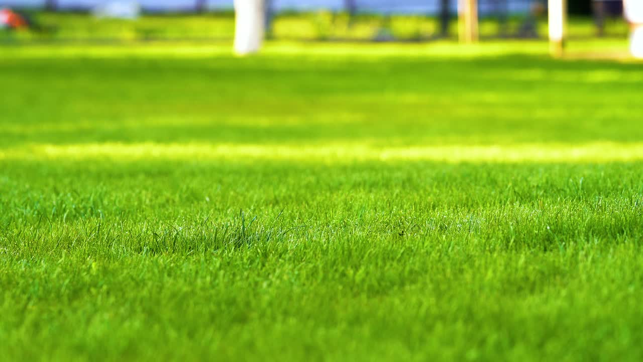 日落时分，夏日花园的塑料洒水车用水灌溉草地。在旱季给绿色植物浇水以保持其新鲜。视频素材