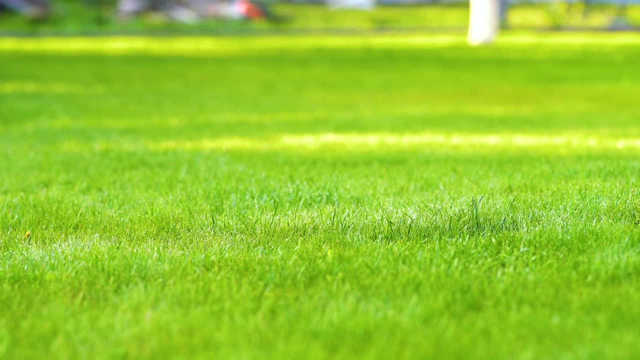 日落时分，夏日花园的塑料洒水车用水灌溉草地。在旱季给绿色植物浇水以保持其新鲜。视频素材