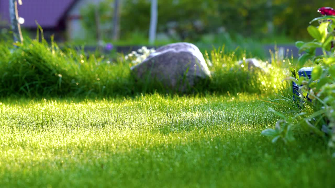 日落时分，夏日花园的塑料洒水车用水灌溉草地。在旱季给绿色植物浇水以保持其新鲜。视频素材