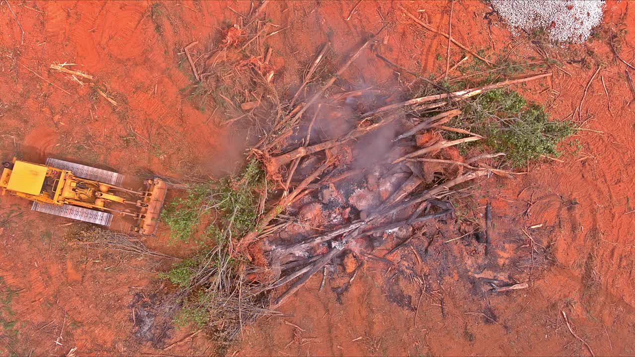 通过焚烧连根拔起的树木来为建造房屋准备土地视频素材