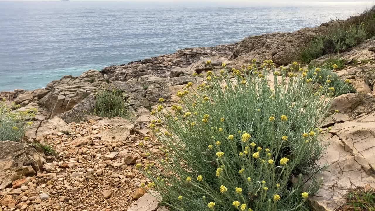 克罗地亚的海滩。多岩石的海岸线。视频素材