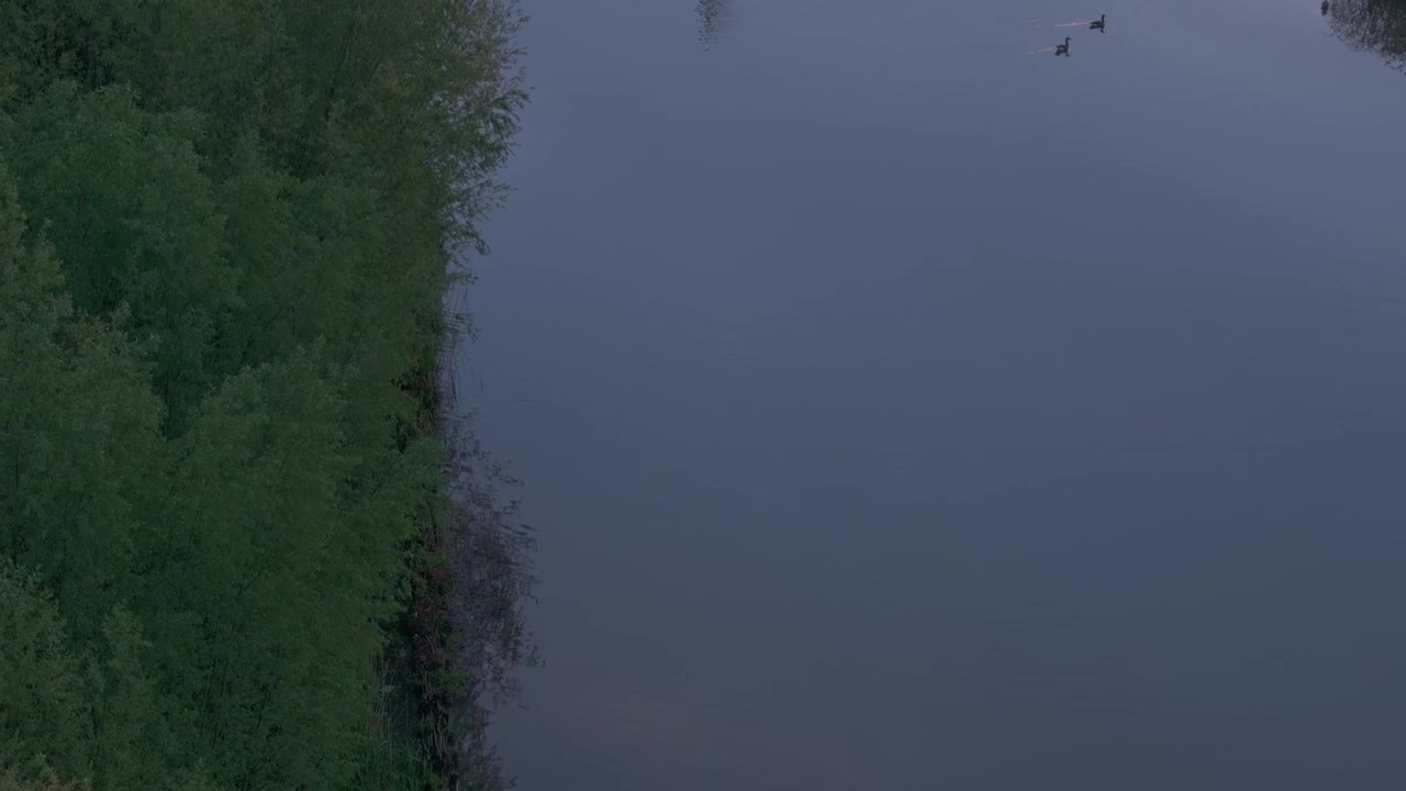 德弗林德风车的鸟瞰图，林格河和日出，荷兰。视频素材