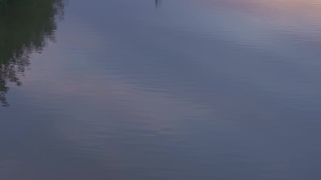 荷兰日出时的风车和河流鸟瞰图。视频素材