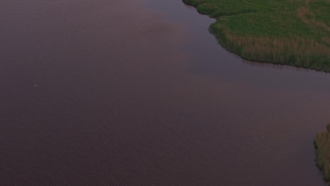 荷兰，鸟瞰湿地、观鸟者的小屋和河流。视频素材