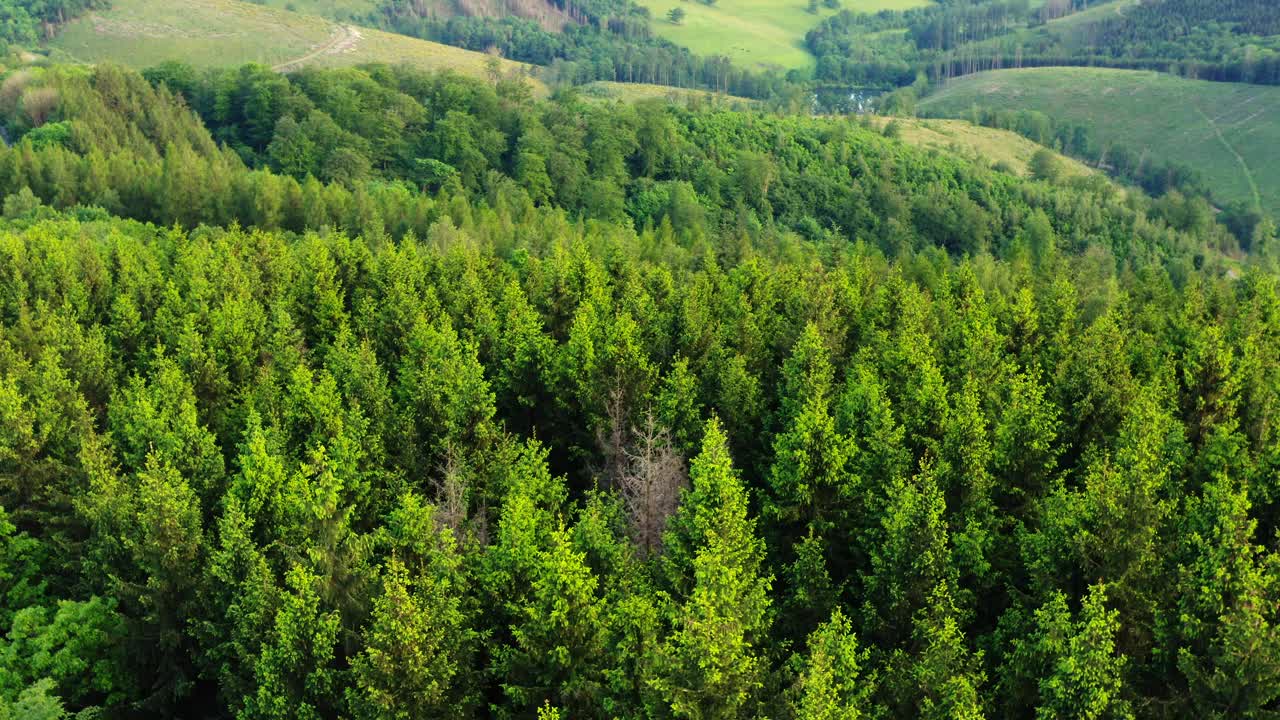 德国的西格兰山和罗塔尔山的春季全景视频素材