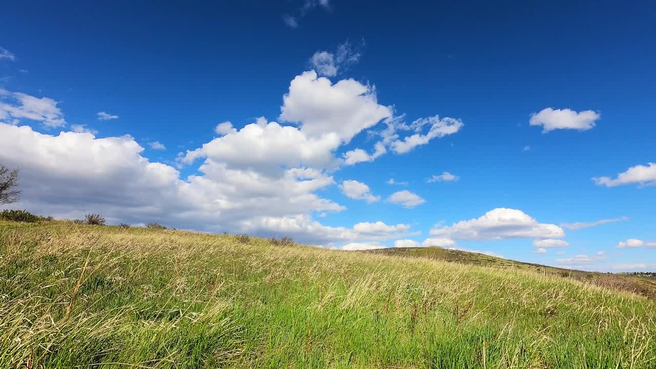 延时拍摄的景观是一片草地，深蓝色的天空和白色蓬松的白云，晴朗晴朗的天空。夏季户外活动的绝佳天气环境。风吹过草地自然的背景视频下载