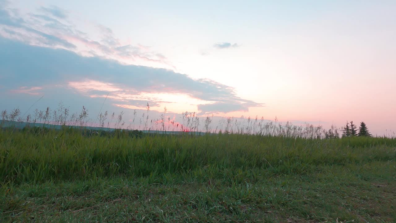 日出柔和的天空早晨自然背景。美丽多彩的天空景观4k延时镜头。春夏时节的绿草。环境与自然概念视频下载