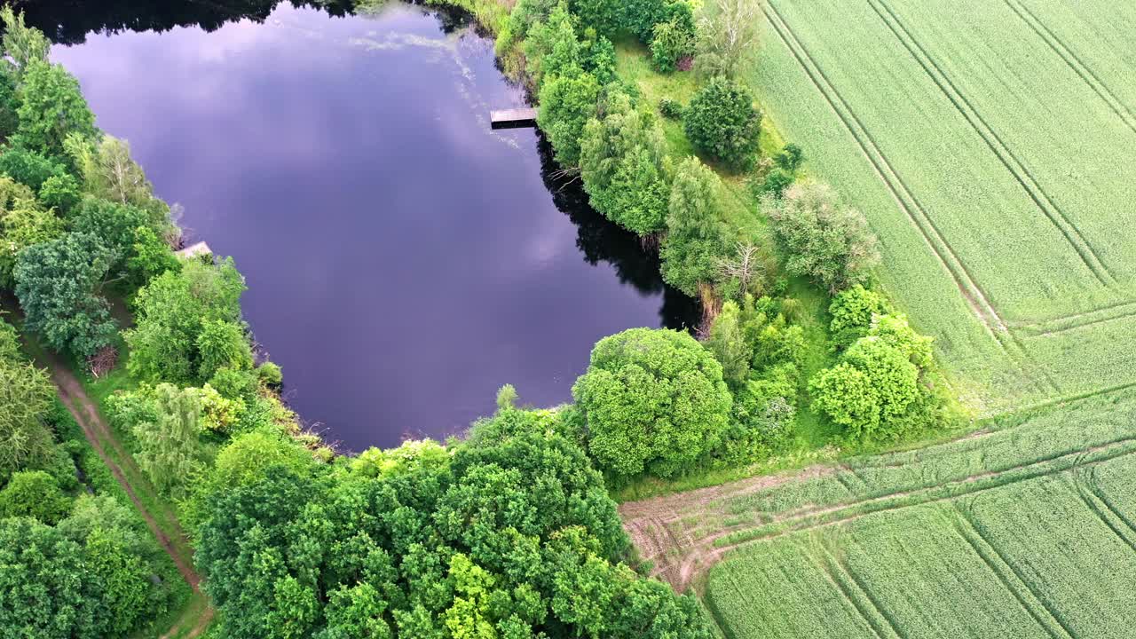 鸟瞰一个小渔池，周围树木环绕，渔场毗邻农田视频下载