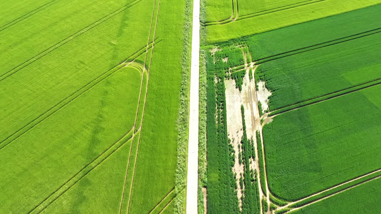 鸟瞰图:一条笔直的砾石小径连接着通往铁路的绿地视频下载