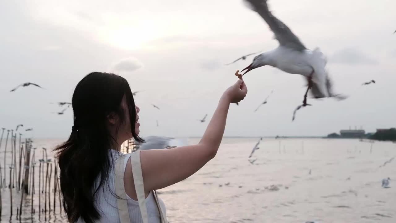 亚洲女人开心地喂候鸟，鸟在海上飞翔，美丽的日落视频下载