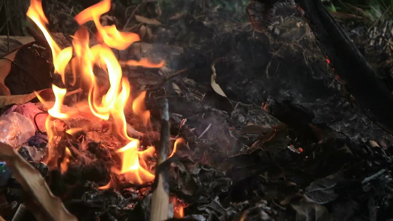 近距离拍摄干树叶在森林地面上燃烧，污染环境的概念视频素材