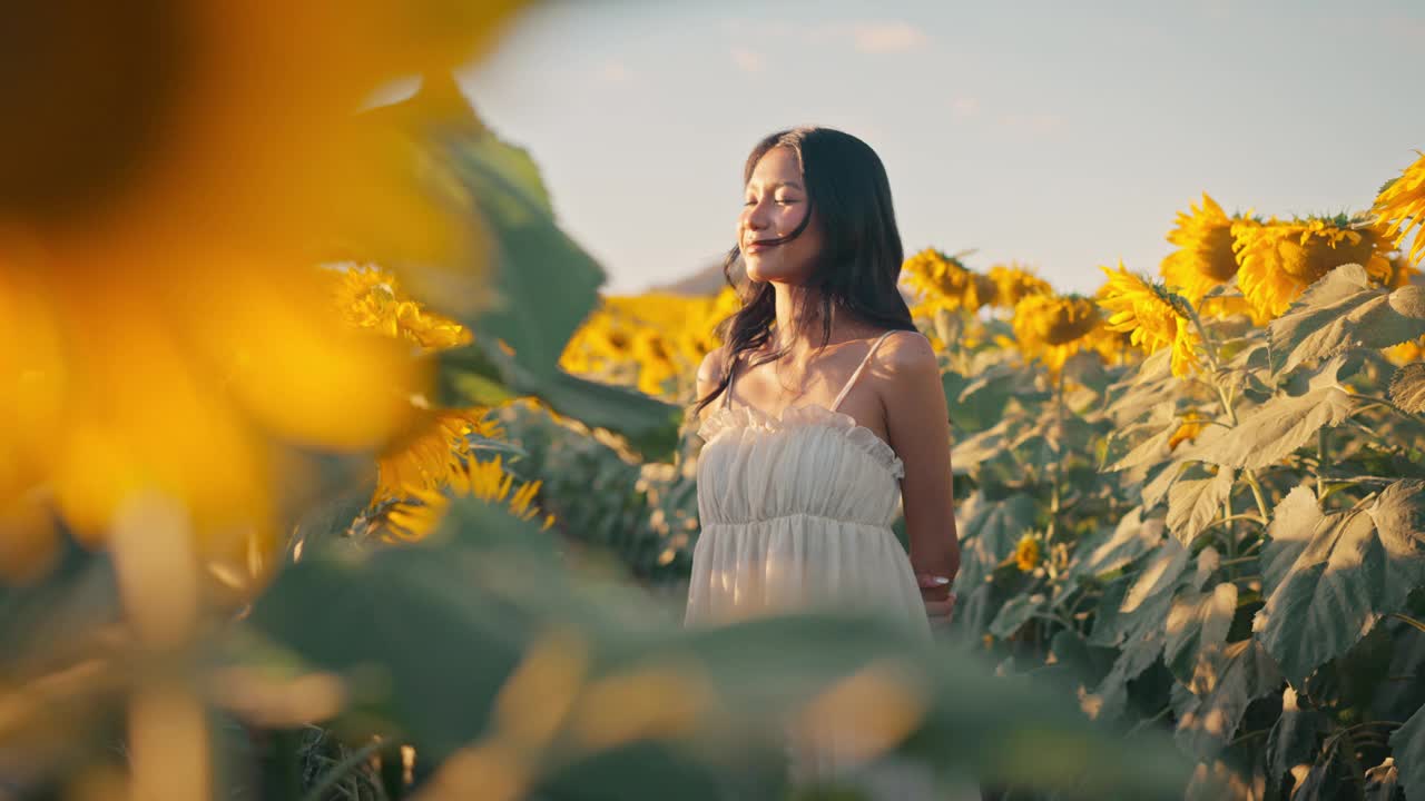 年轻的无忧无虑的亚洲女人在夕阳下的田野里与向日葵一起呼吸着新鲜的空气，享受着大自然，快乐的女性闭上眼睛做梦。视频下载