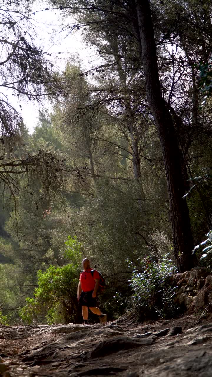 强壮的徒步旅行者在森林的小路上行走视频素材