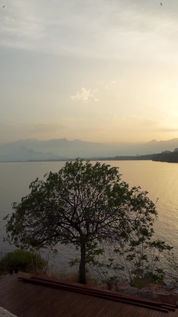 在日落的黄金时间里，地中海风景中孤独的树视频下载