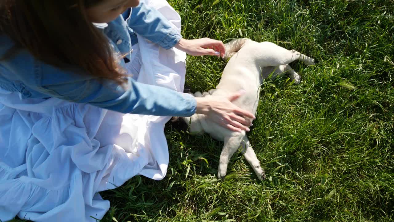 快乐的年轻女子和她可爱的哈巴狗在绿草地上玩耍，上图。摄像机移动视频素材