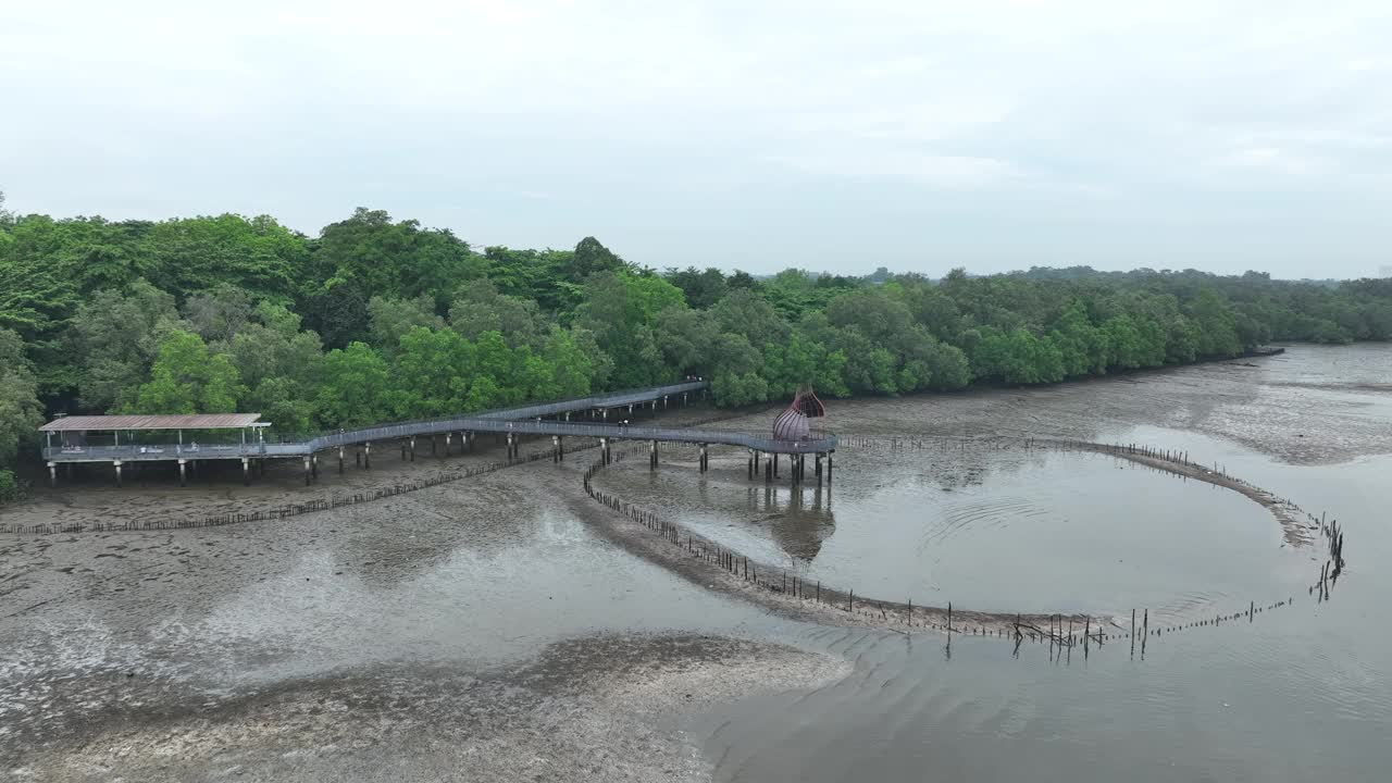 新加坡圣溪布洛湿地保护区的海滨木板路视频下载