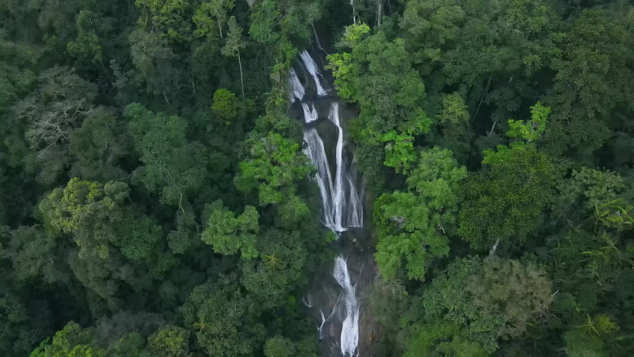 令人惊叹的瀑布以自然的模式流动，在高耸的绿树之间形成美丽的小径。视频素材