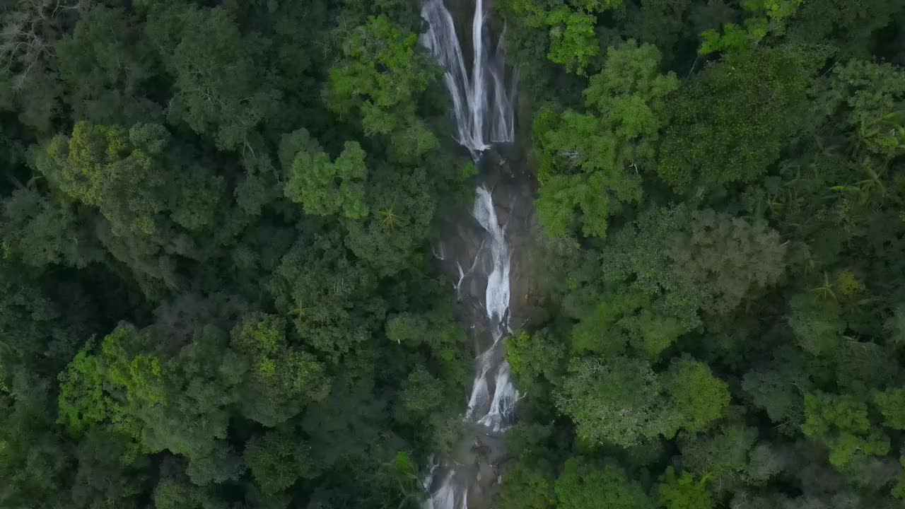 高高的瀑布展现了雨林的自然美视频素材