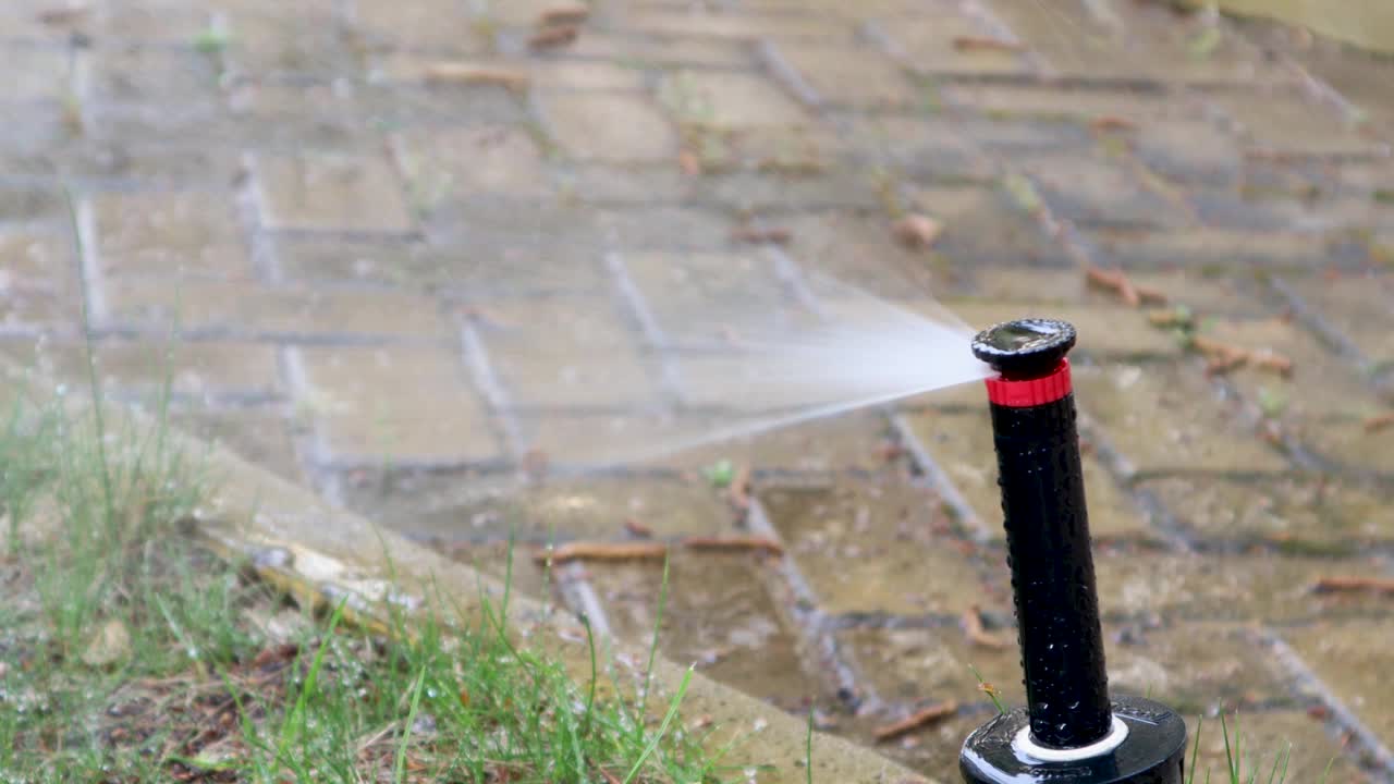 选择性地关注花园洒水器向郁郁葱葱的绿色草坪喷水视频素材