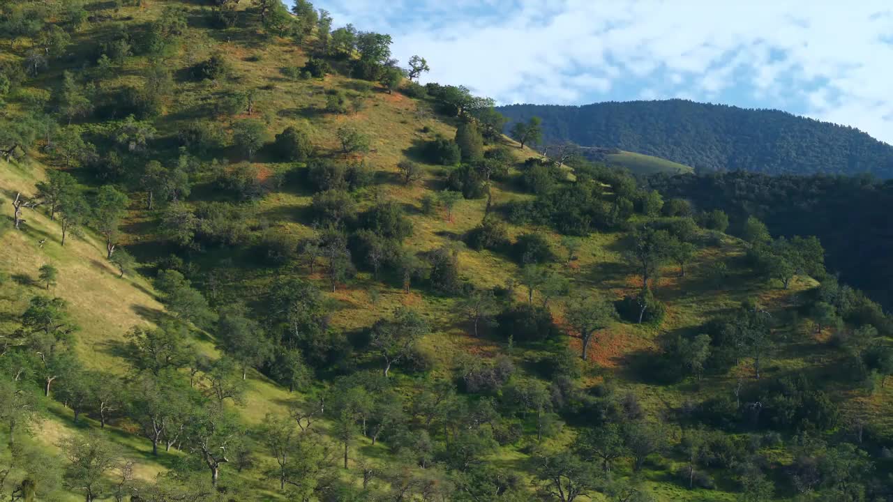 郁郁葱葱的青山，连绵起伏的丘陵，晴朗的天空，原生态的风景如画视频素材