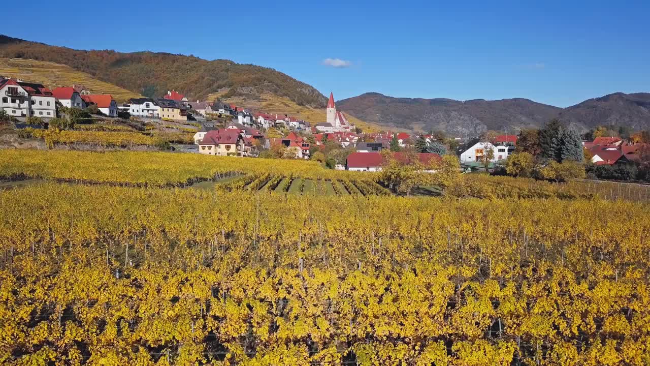 瓦豪镇的Weisenkirchen和秋天的葡萄园鸟瞰图。Wachau valley，奥地利。从30 fps加速到2倍。视频下载