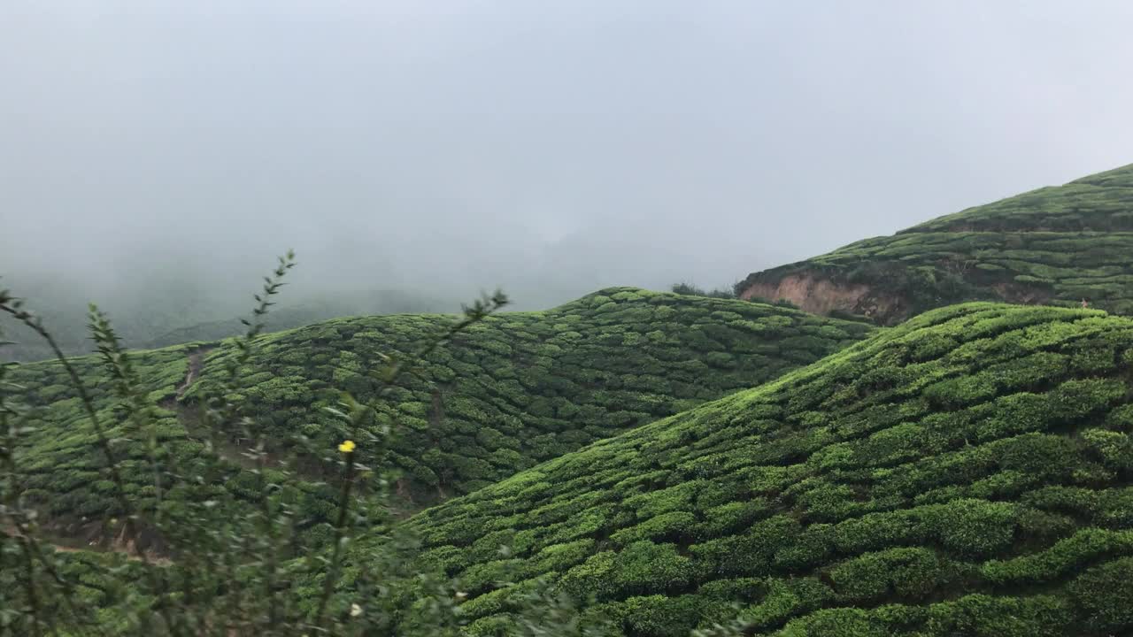 船尾从船上看到的景象视频素材