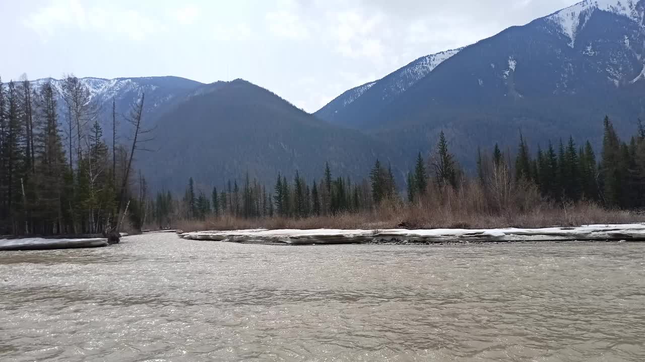 在一个多云的春天早晨，一条宽阔的河床沿着白雪皑皑的海岸流经高山脚下茂密的针叶林。视频下载