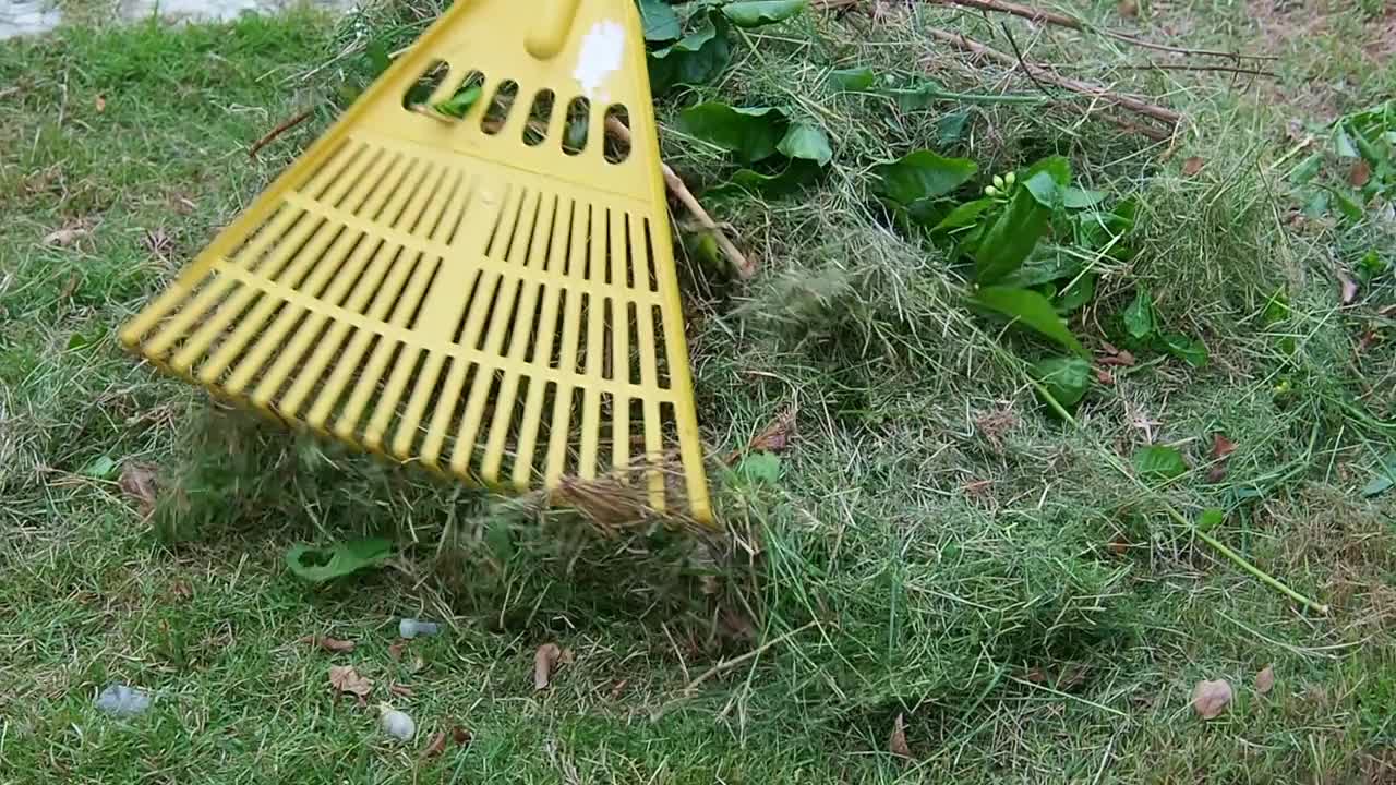 耙子清扫花园和草坪上的树叶和草。视频素材