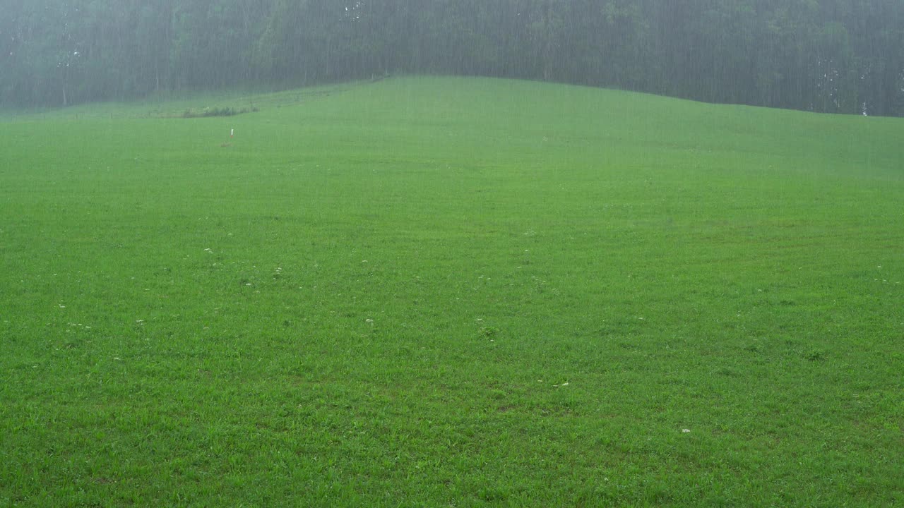 雨落在乡下的草山上视频素材