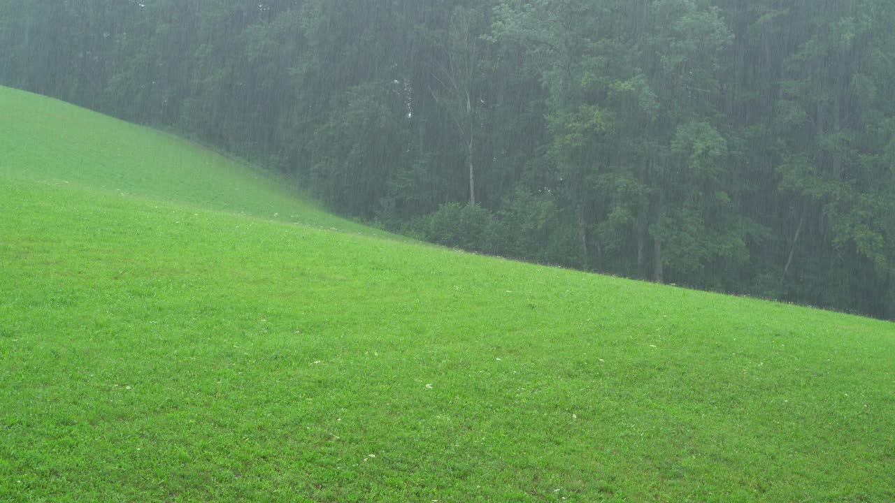 雨落在乡下的草山上视频素材