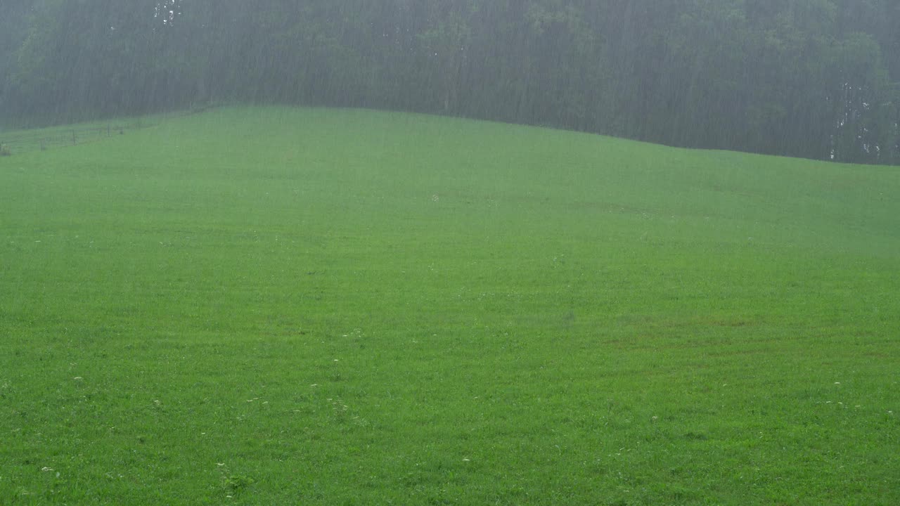 雨落在乡下的草山上视频素材