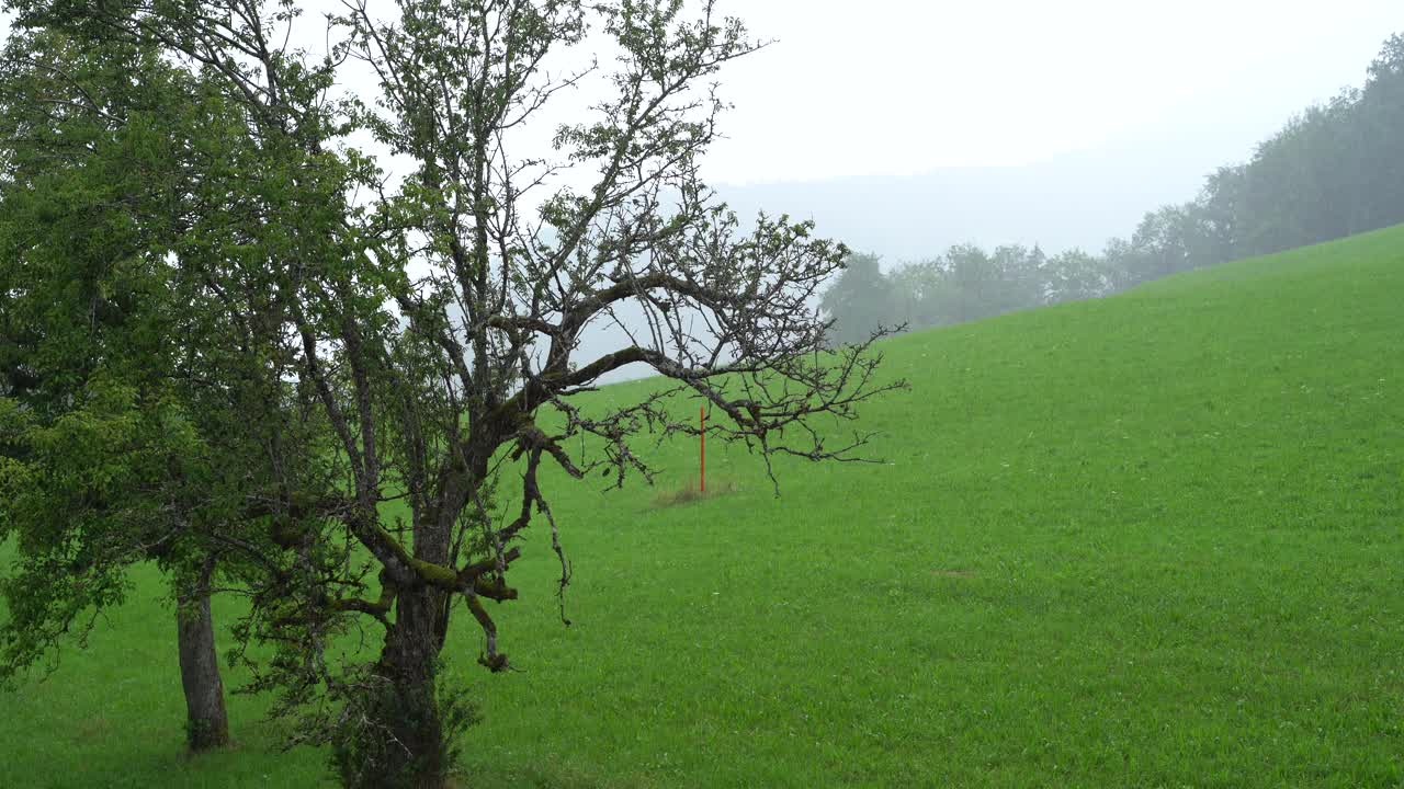 雨落在乡下的草山上视频素材