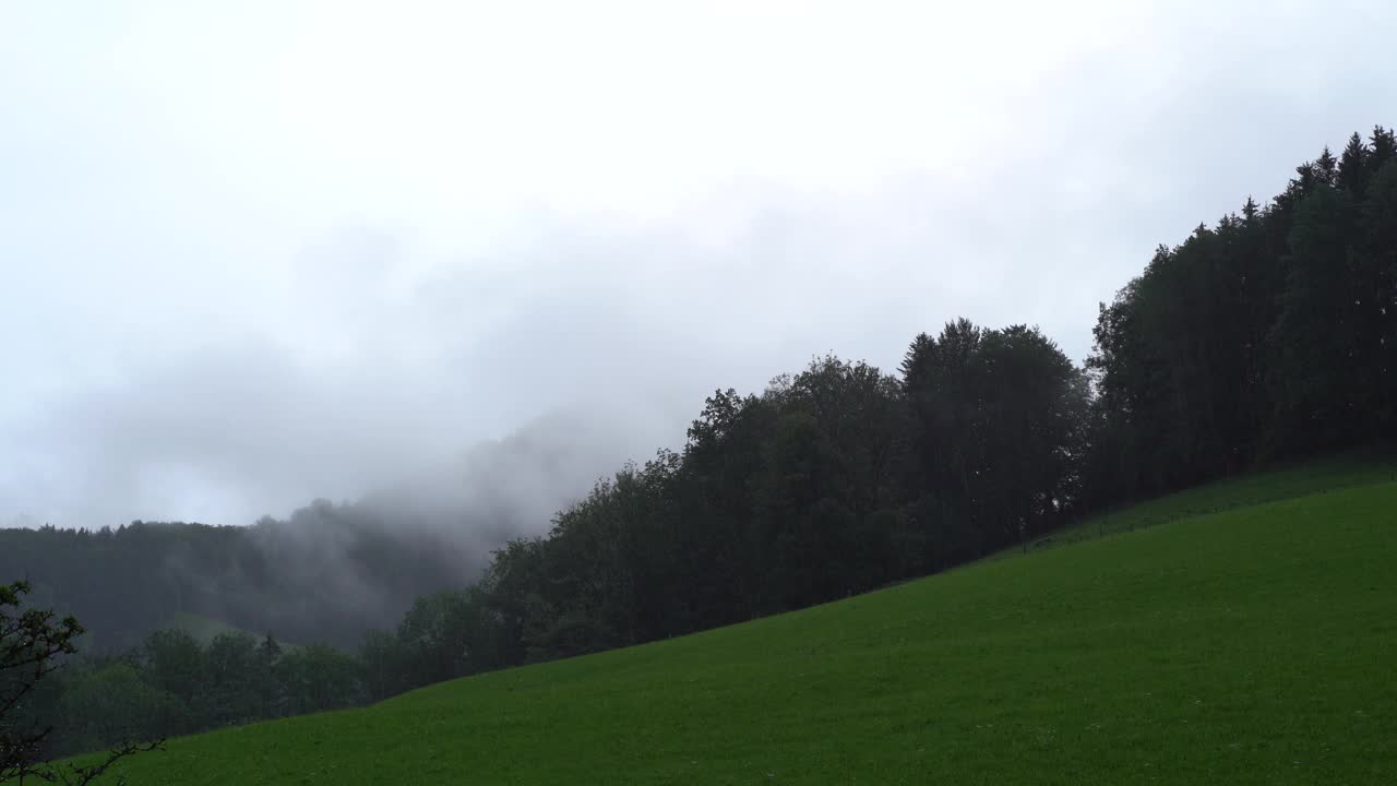 下午，雨落在有树的草山上视频素材