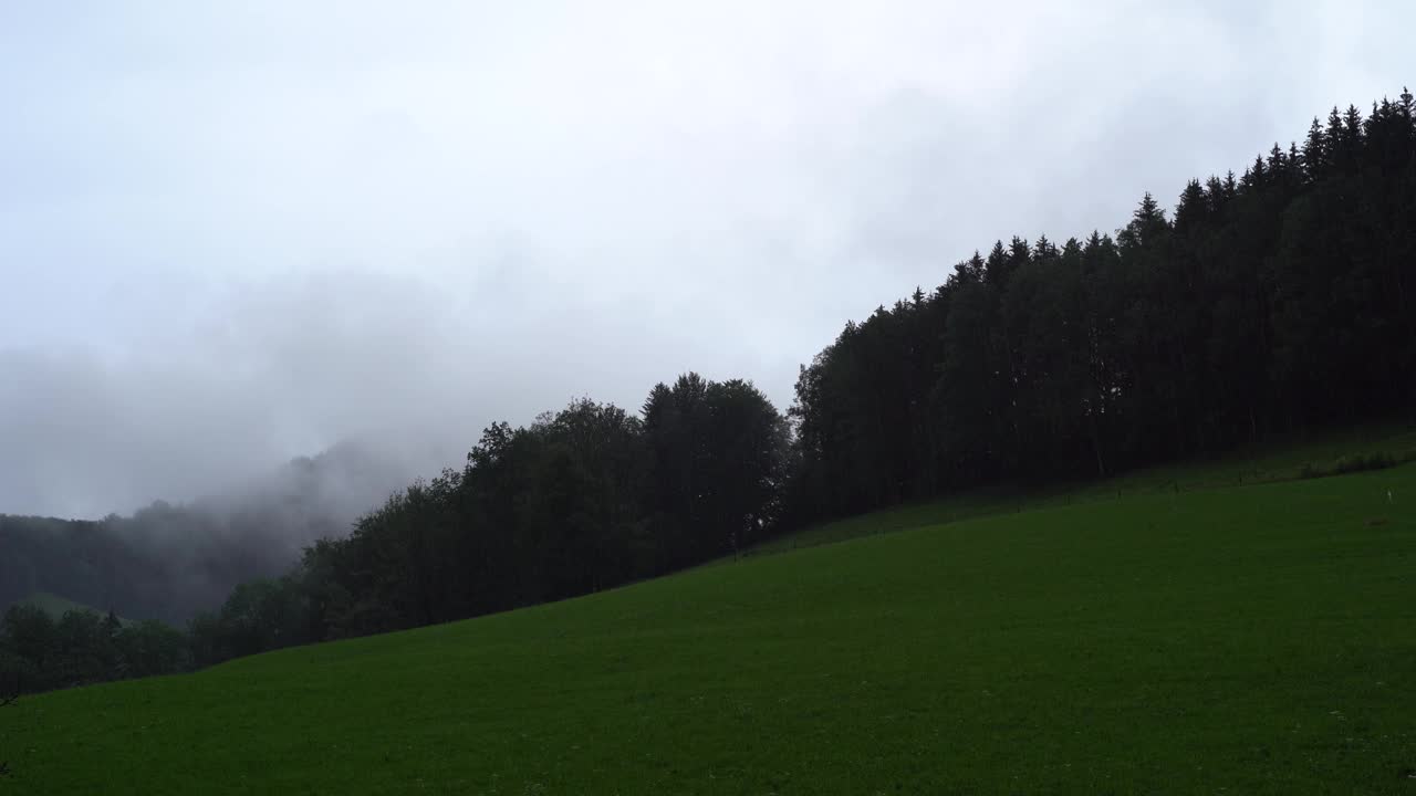 下午，雨落在有树的草山上视频素材