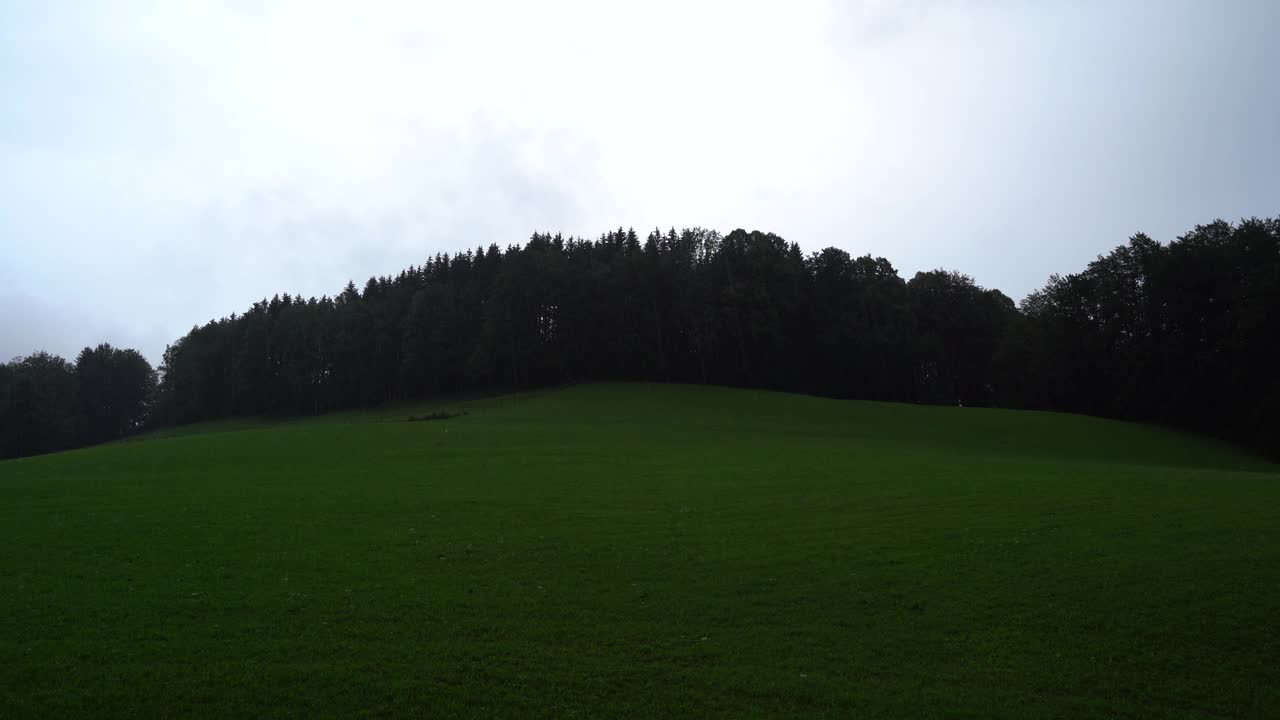 下午，雨落在有树的草山上视频素材