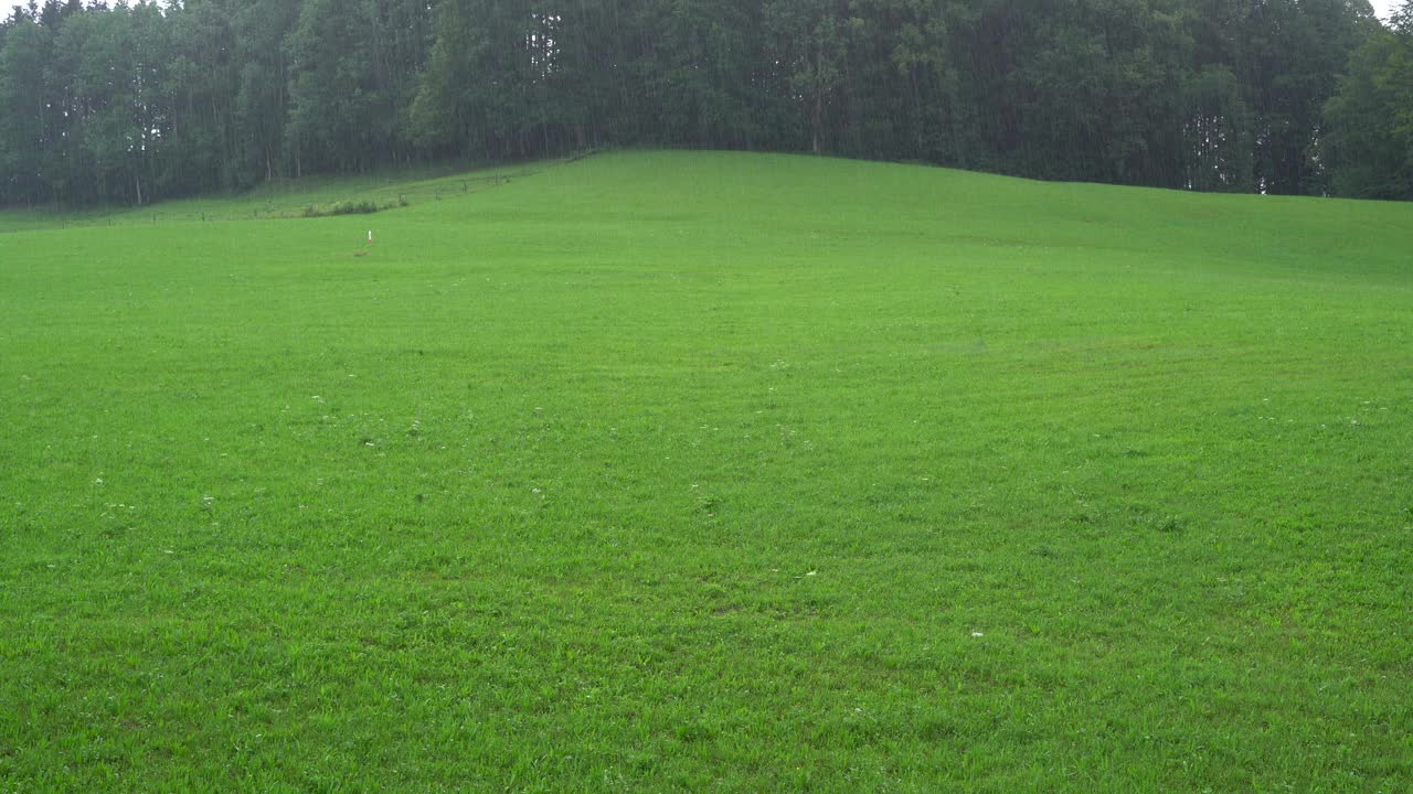 雨落在乡下的草山上视频素材