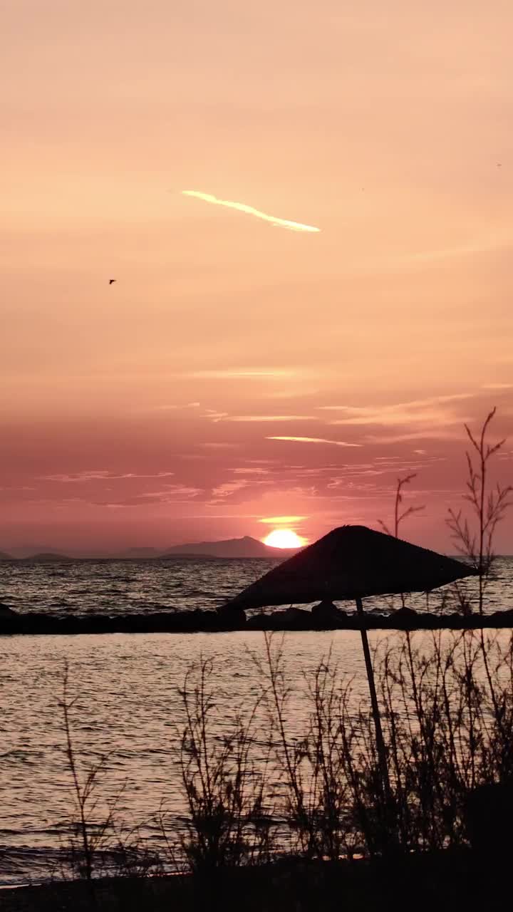 海滨小镇Turgutreis和壮观的日落。博德鲁姆,土耳其。社交媒体的垂直视频。视频下载