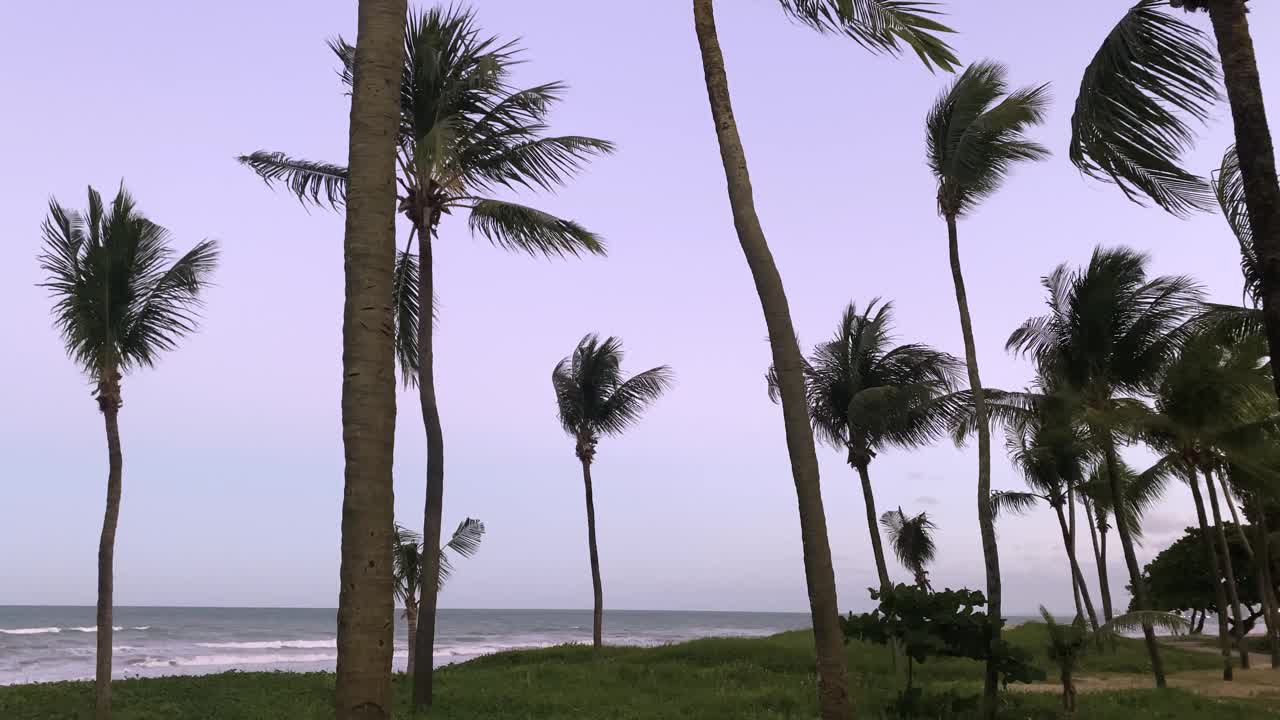 从Boa Viagem海滩眺望视频素材