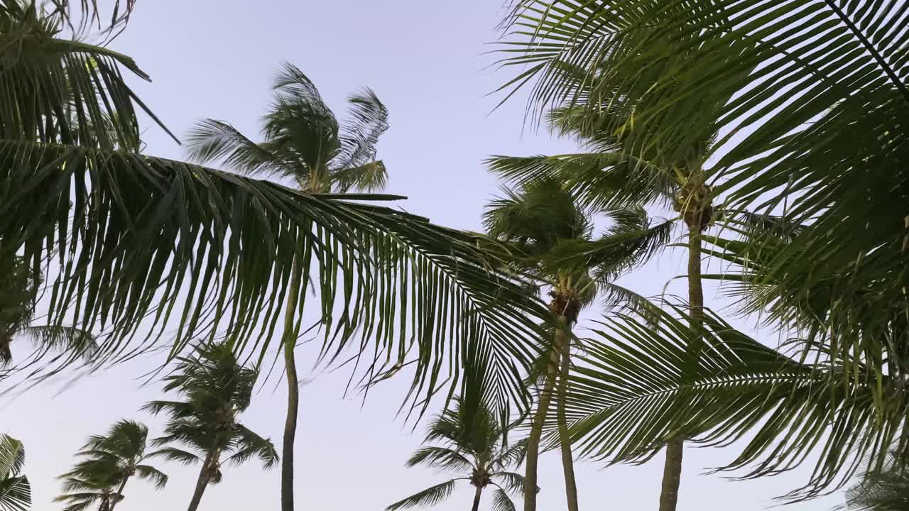 从Boa Viagem海滩眺望视频下载