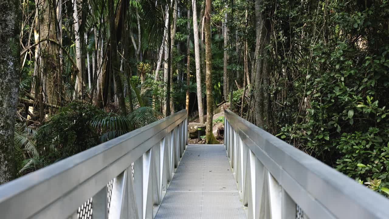 Tamborine山的森林步道视频素材