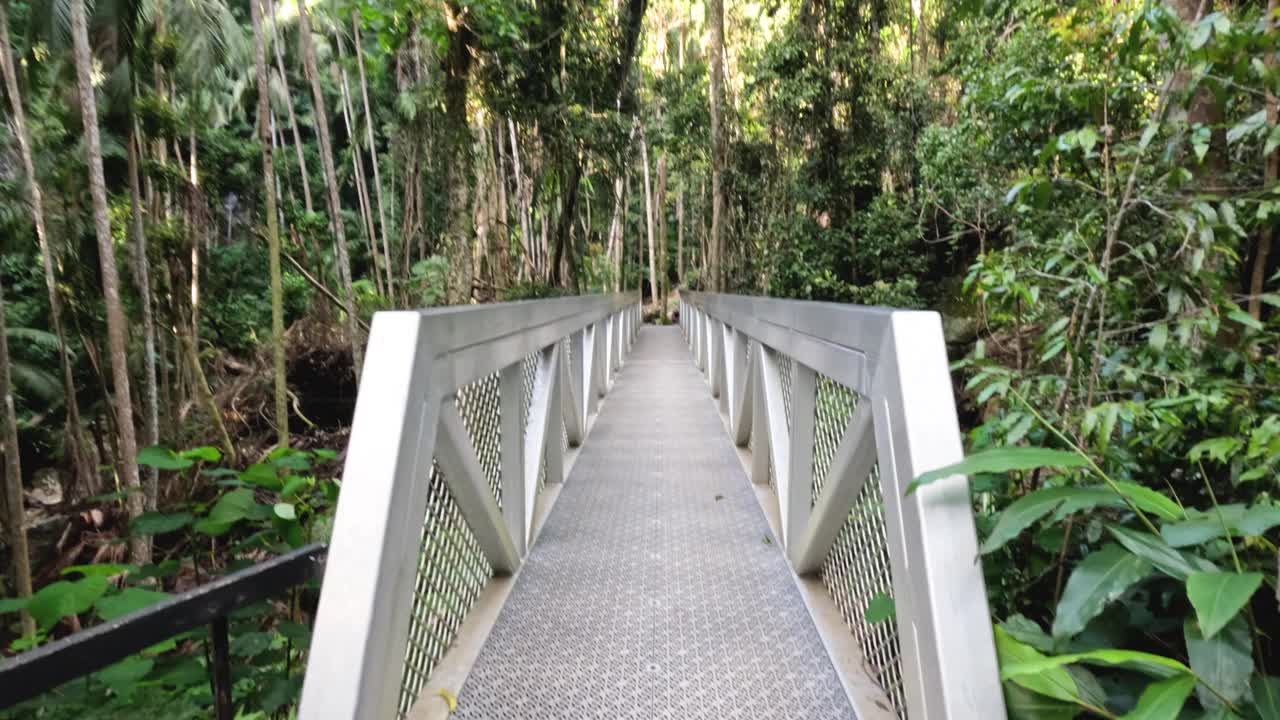 穿过茂密森林的走道视频素材