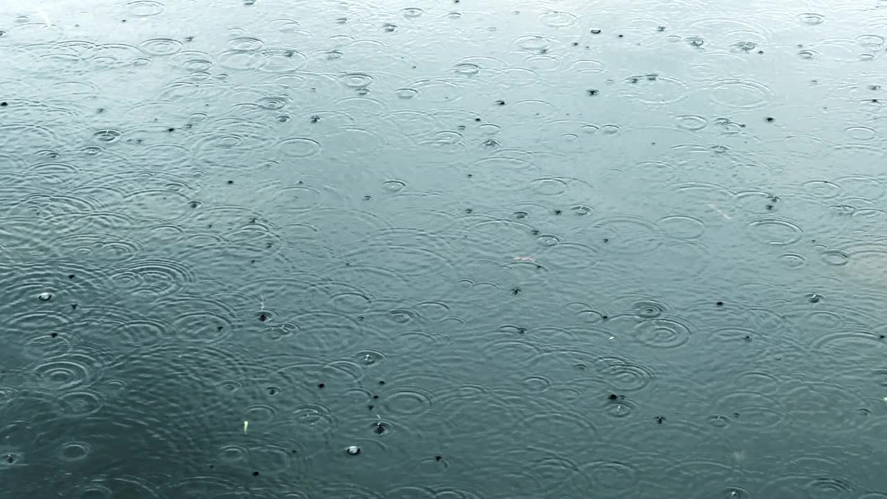 雨滴落在平静的湖面上视频素材