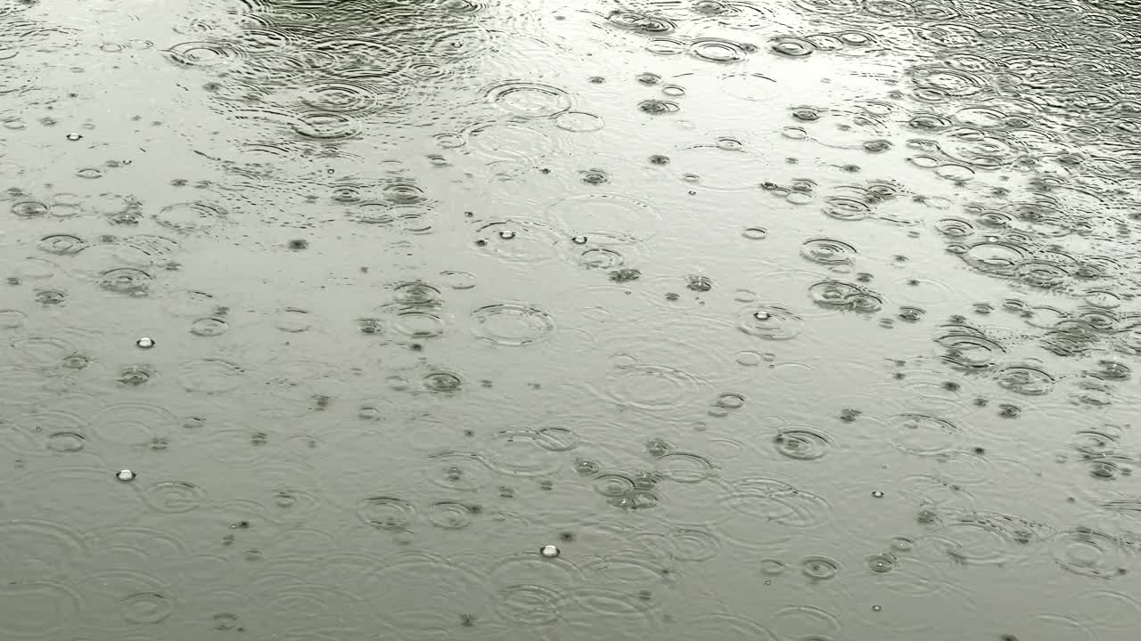 雨滴落在平静的湖面上视频素材