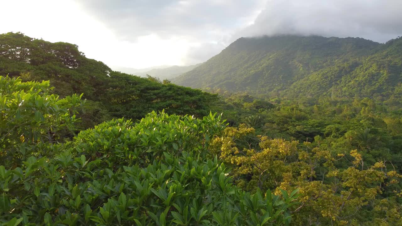 在黎明柔和的光线下，圣玛尔塔山脉郁郁葱葱，宁静的自然景象视频素材