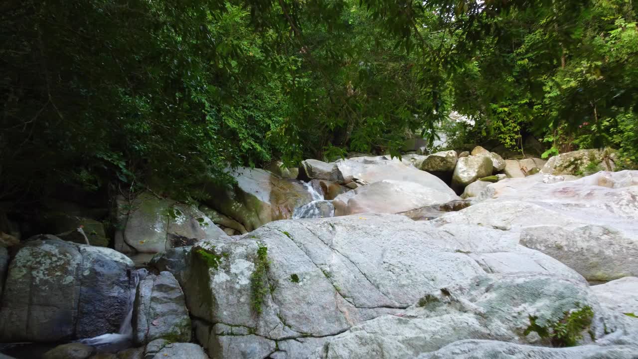 温和的溪流流过岩石在繁茂的圣玛尔塔森林，哥伦比亚，宁静的自然景观视频素材