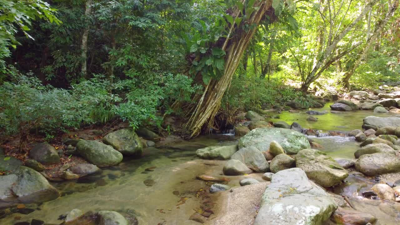 哥伦比亚圣玛尔塔郁郁葱葱的森林溪流，有清澈的水和岩石，宁静的自然景象视频素材