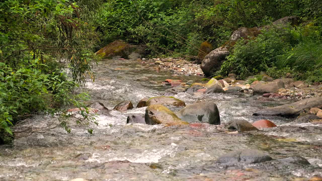 山下有一条河，位于瓦武山下的亚雨湖附近视频下载