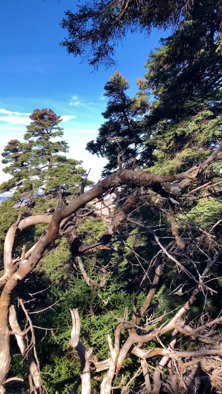 通往托雷西拉山顶的小路视频素材